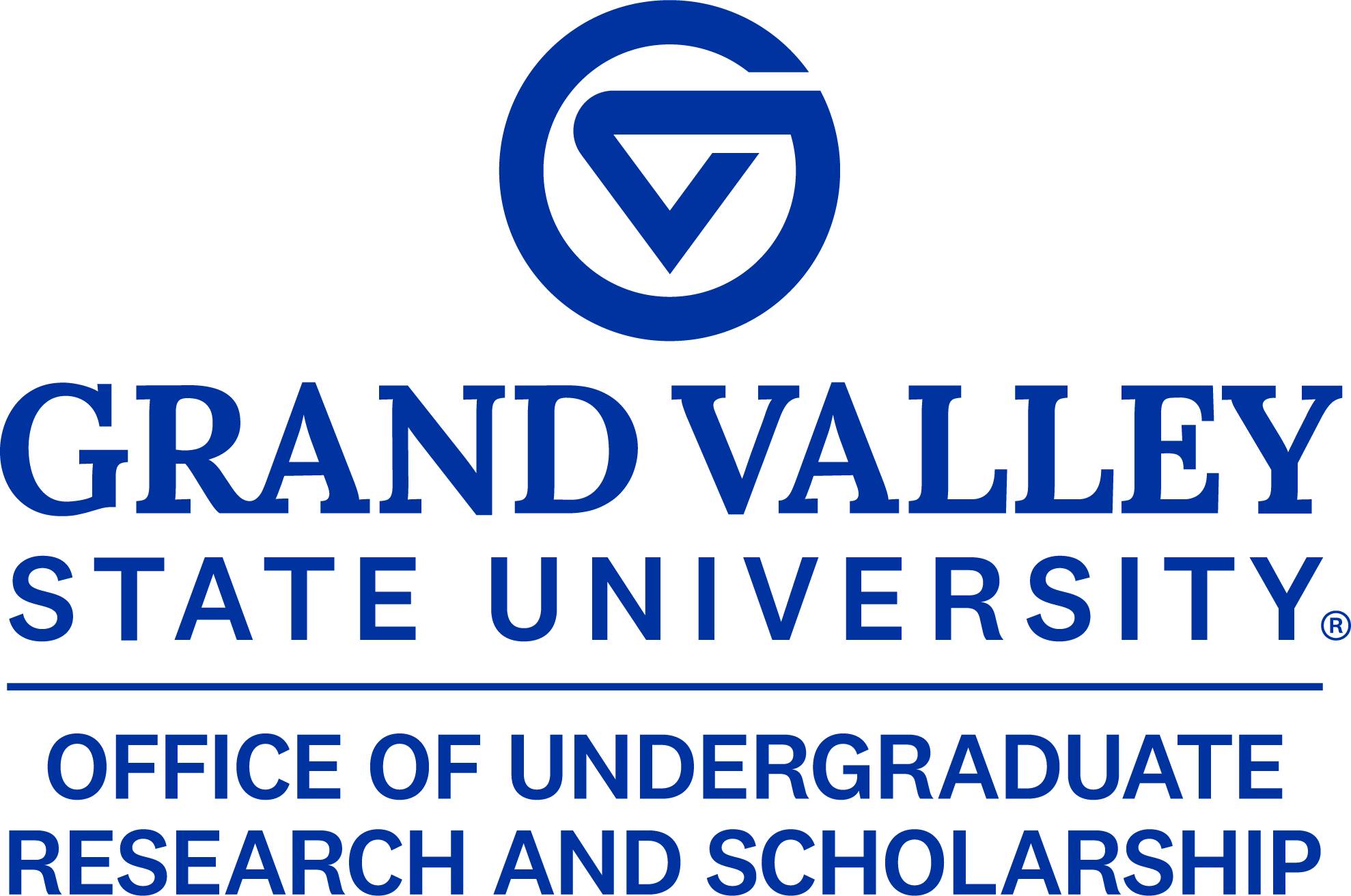 GVSU & OURS Blue Top